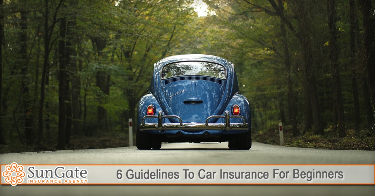 6 Guidelines To Car Insurance For Beginners