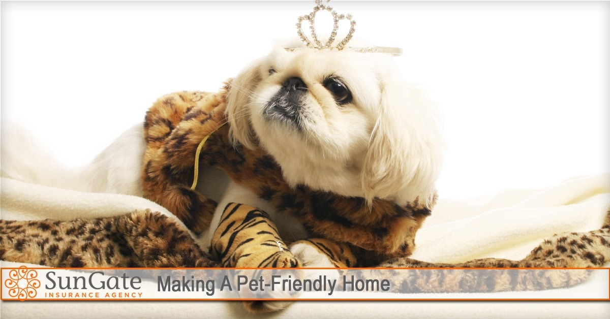 Making A Pet-Friendly Home