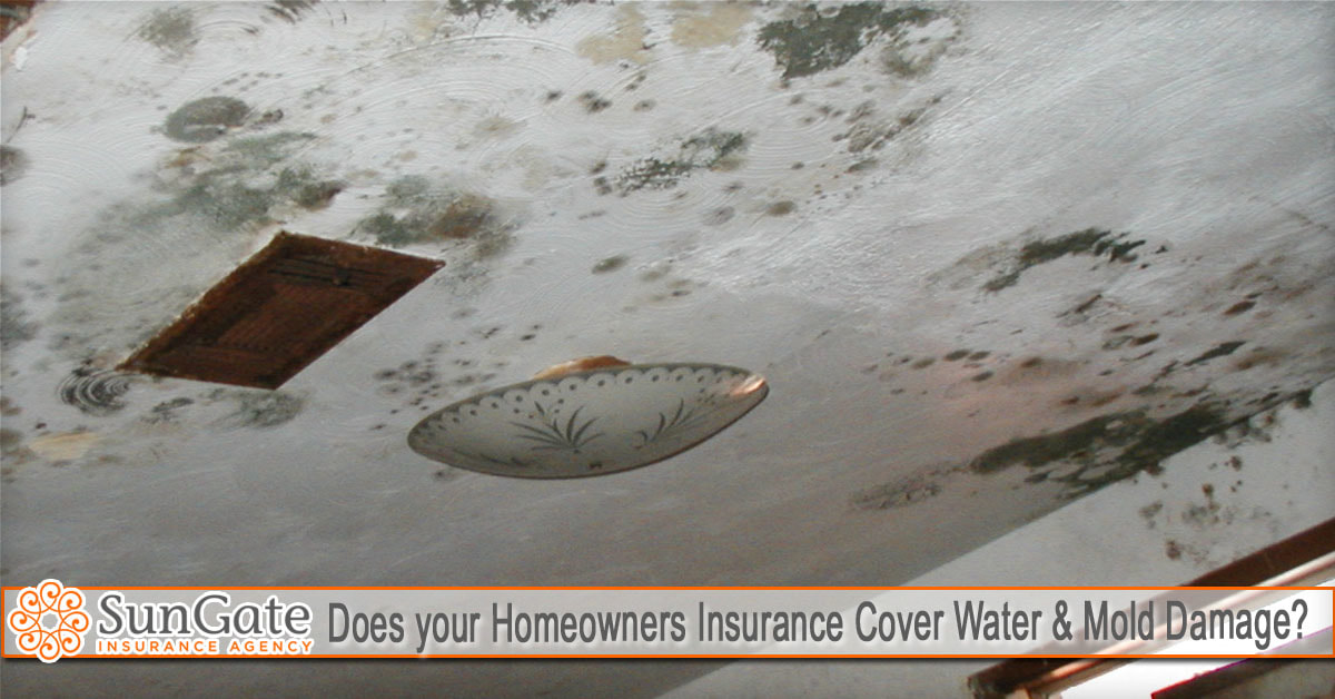 Does your Homeowners Insurance Cover Water &amp; Mold Damage?
