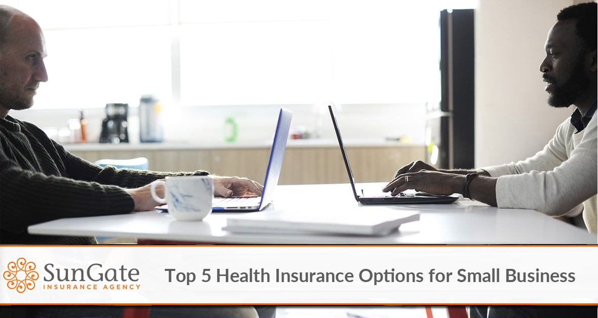 Top 5 Health Insurance Options for Small Business
