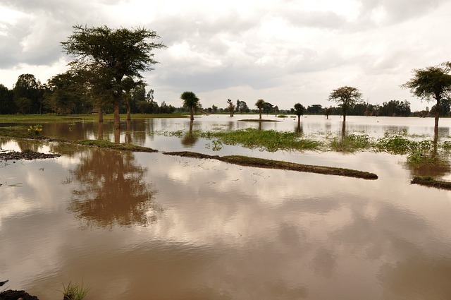 Florida Law May Make You Buy Flood Insurance